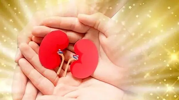 مرگ تلخ و پرواز سبز جوان روستایی در دامغان