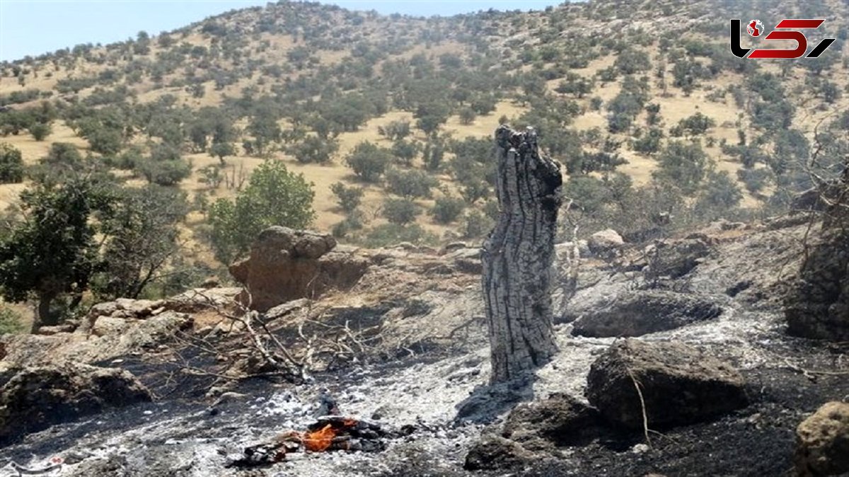 آتش سوزی کوه نیر بویراحمد مهار شد