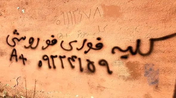 ۲۱۴۶ بیمار در صف پیوند کلیه / هشدار درباره دیوارنوشته‌های کلیه فروشی