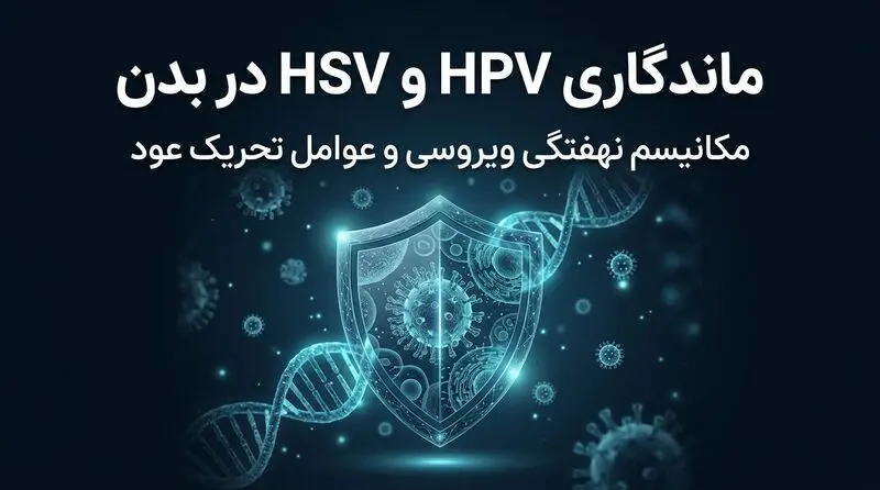 مرگ 72 ساعته تبخال / قرص AHCC قاتل زنجیره‌ای زگیل تناسلی