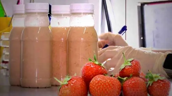 واکسن کرونای نوشیدنی با طعم توت فرنگی!