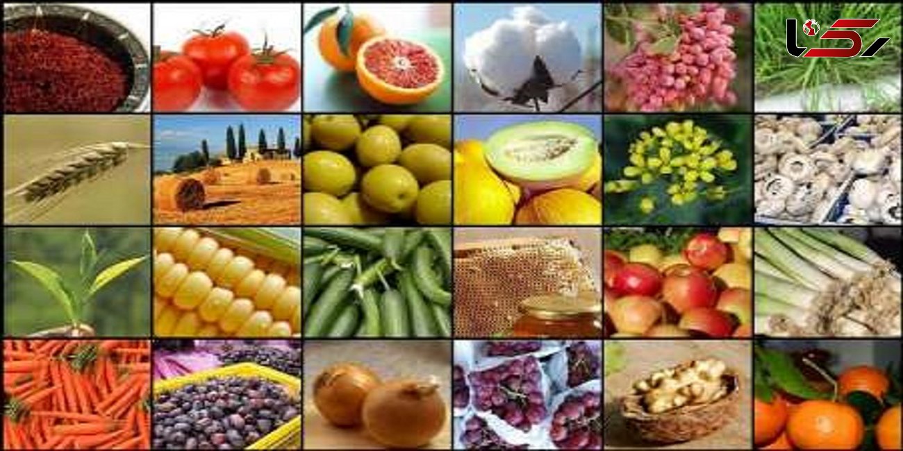 استان لرستان می تواند به قطب تولید مواد غذایی کشور تبدیل شود