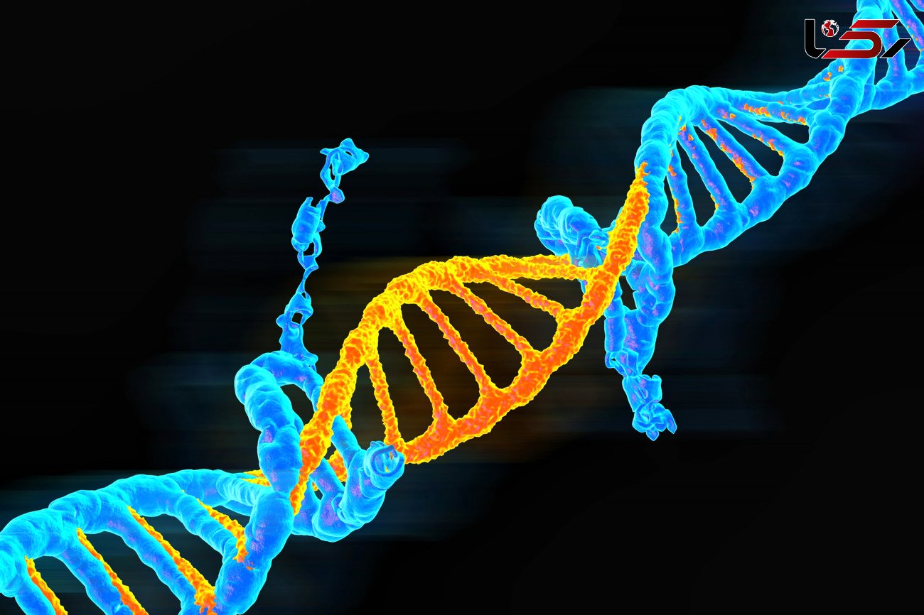 نقش ژن کرونا در ابتلا به کرونا / "ژن بد" انسان های اولیه به ما رسیده است