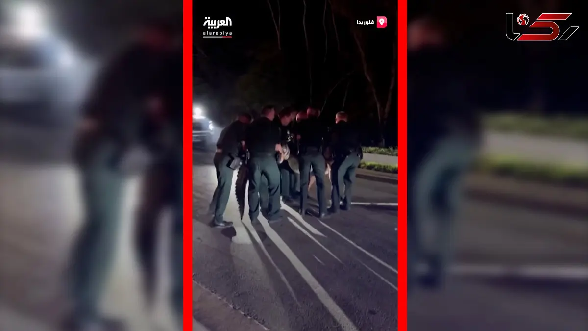 فیلم مهار تمساح ۴ متری توسط پلیس آمریکا