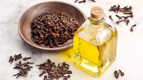 خواص جادویی گیاه میخک + فیلم