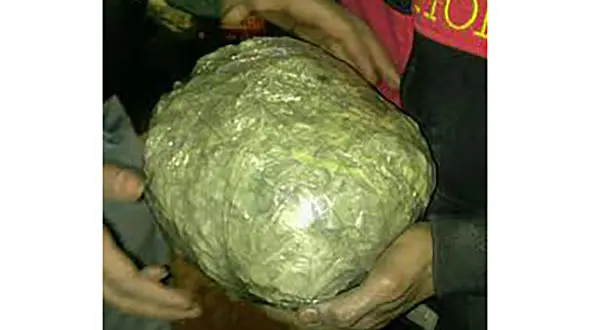 کشف مواد انفجاری در متروی تهران