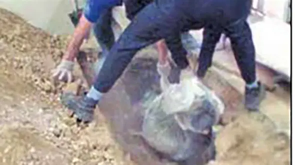 دفن کردن جسد برادر کف سالن پذیرایی در پاسارگاد + عکس جنازه