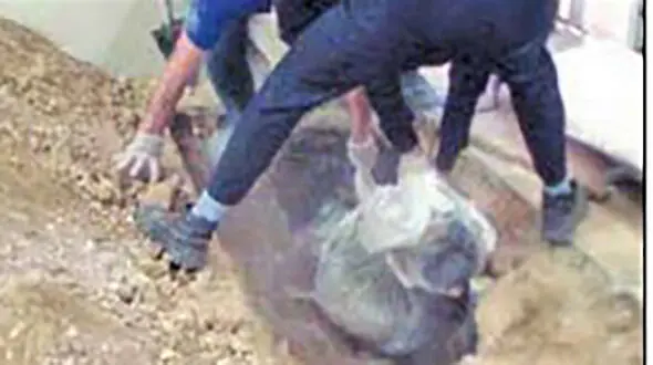دفن کردن جسد برادر کف سالن پذیرایی در پاسارگاد + عکس جنازه