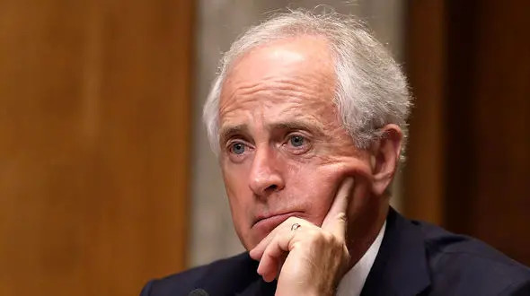 این مرد رقیب اصلی ترامپ در انتخابات 2020 است!