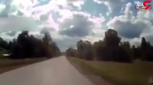 تصادف‌های تلخ جاده‌ای با حیوانات + فیلم های تکاندهنده