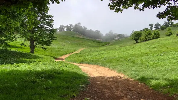 از سیل در هند تا پلنگدره مازندران