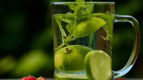 انواع دتاکس واتر برای لاغری؛ نوشیدنی‌ های خوش‌ طعم برای کاهش وزن و افزایش آبرسانی