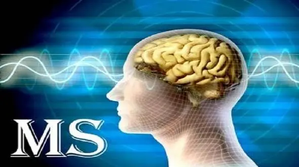 شادنوش: هزینه گران درمان بیماری های خاص، قشر متوسط را به زیر خط فقر می برد/ گرانی داروهای بیماران ام اس در دو هفته اخیر 