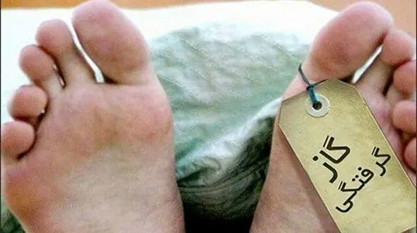 مرگ مرموز نگهبان کندوهای عسل در مهران