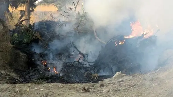 حمله سپاه سمنان به مزرعه شیطانی + عکس