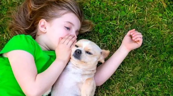 حرف زدن با حیوانات با کمک هوش مصنوعی