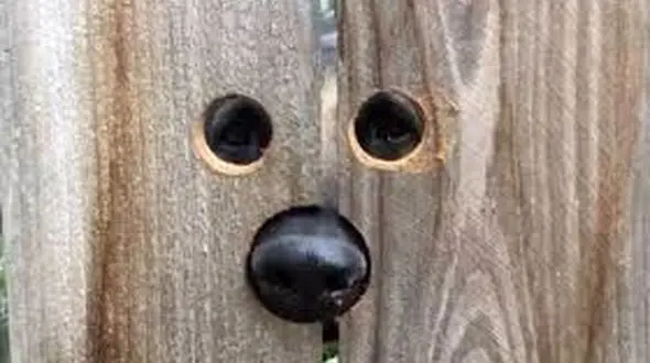 درخواست عجیب سولماز زن پولدار تهرانی از بازپرس / پلیس شوکه شد