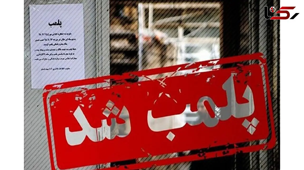 نانوایی‌های متخلف در مسجدسلیمان پلمب شدند
