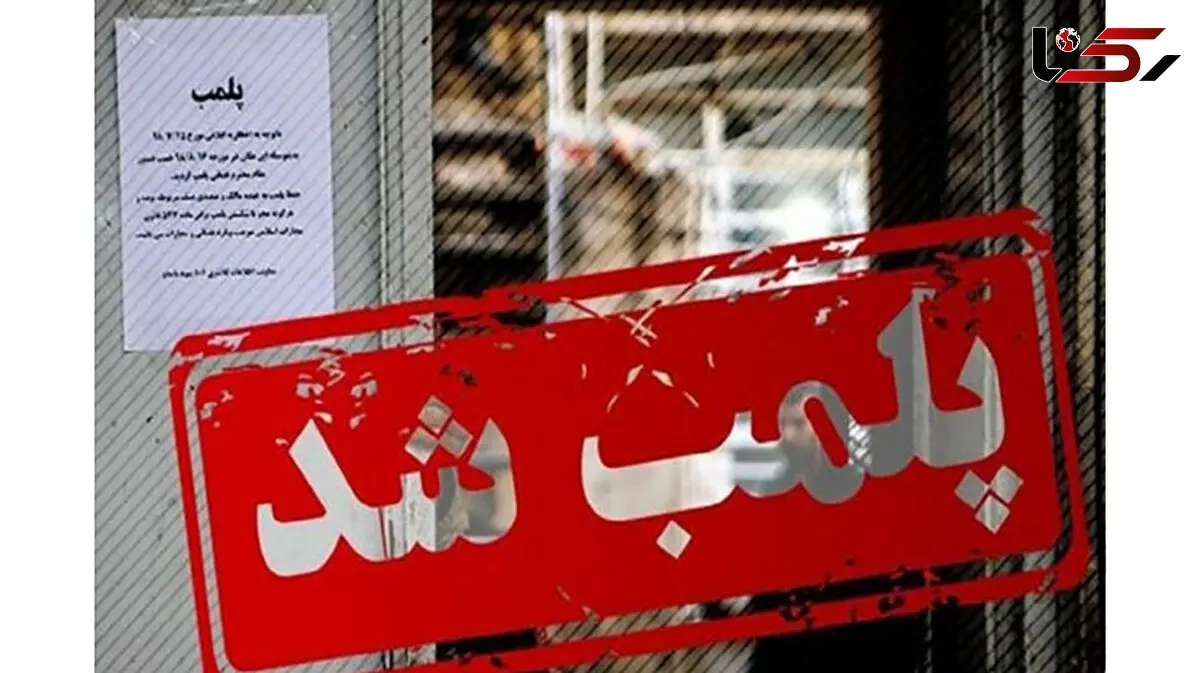 نانوایی‌های متخلف در مسجدسلیمان پلمب شدند