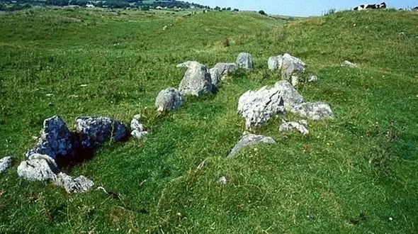 گورهای جواهرده یا لانه حیوانات؟!