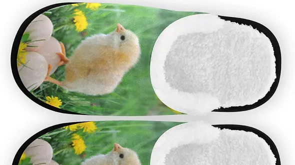 عجیب اما واقعی / تعیین جایگاه زنان ایرانی با دمپایی!