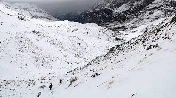  تیم هیمالیا نوردان حرفه ای به محل سقوط هواپیما می روند 