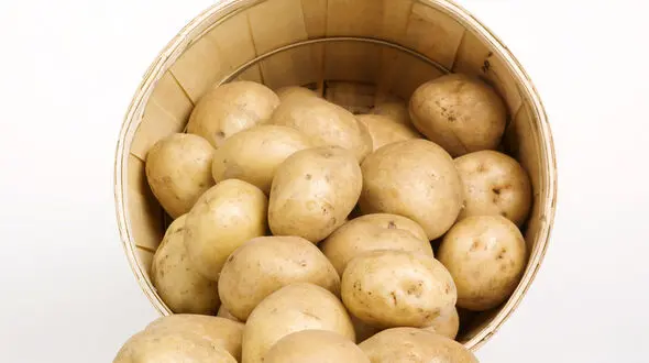 ماسک آب سیب زمینی تقویت کننده ریشه موی سر