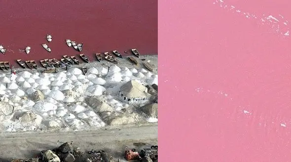  دریاچه ای شگفت انگیز که آبش صورتی رنگ است + عکس های بی نظیر