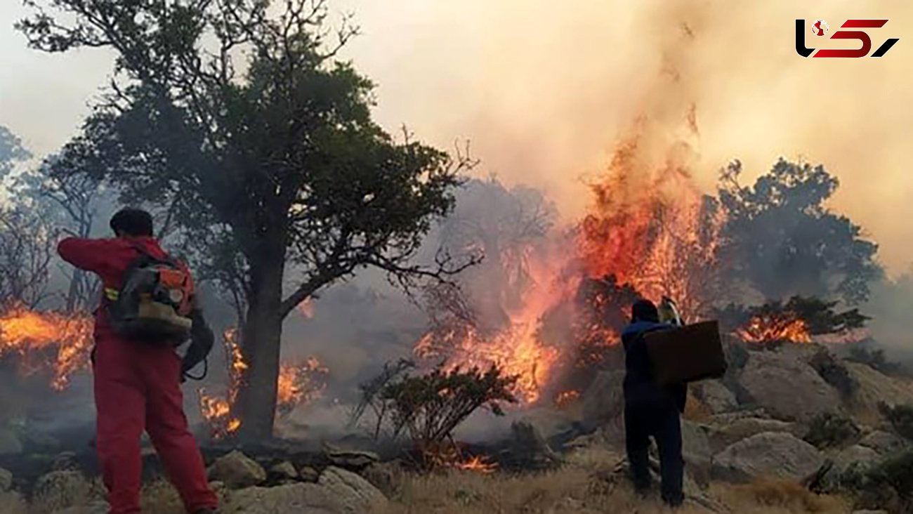 فیلم آتش سوزی جنگل‌های زاگرس
