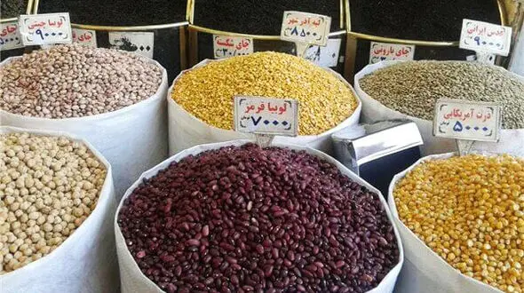 عدس های کانادا و اسپانیا در غذاهای ایرانی 