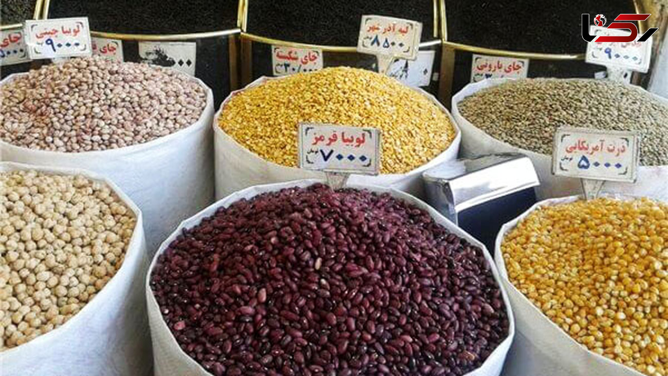 عدس های کانادا و اسپانیا در غذاهای ایرانی 