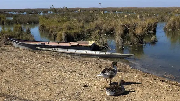 4 درصد هورالعظیم در 5 روز گذشته خشک شد