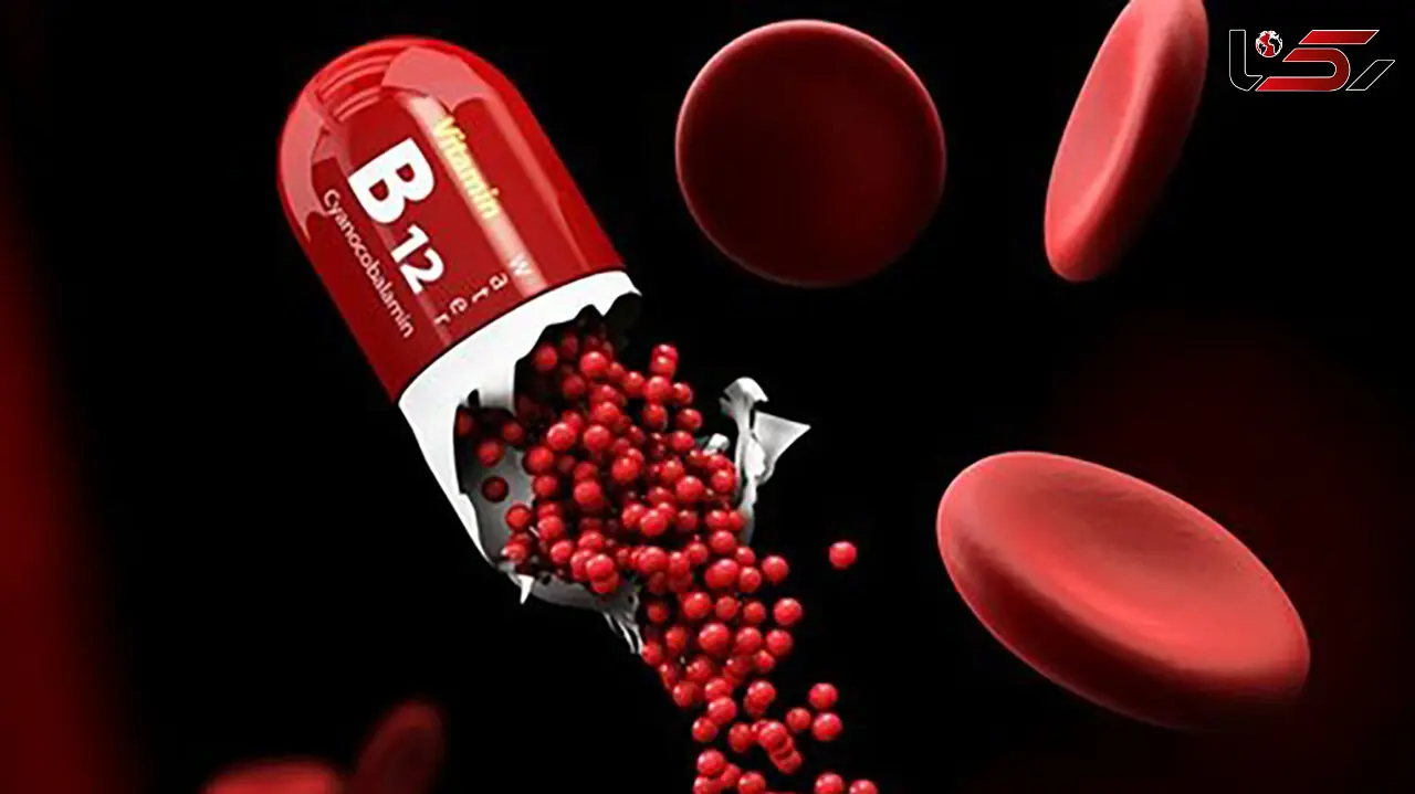 مواد غذایی عالی برای تامین ویتامین B12