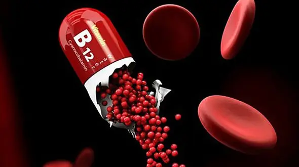 مواد غذایی عالی برای تامین ویتامین B12