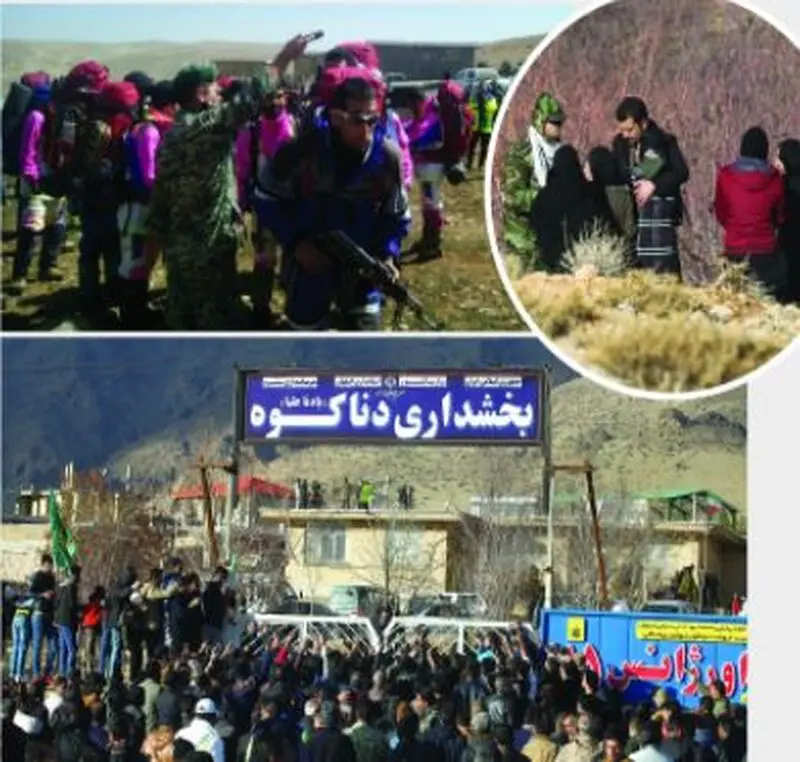 گزارش سقوط هواپیما