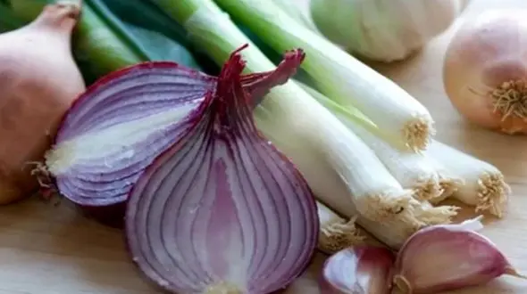 سوسک های خانگی را با پیاز و سیر فراری دهید!