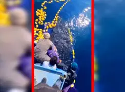 فیلم نجات کوسه نهنگ غول پیکر در جاسک