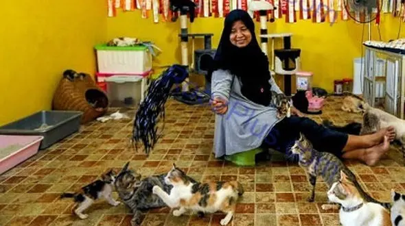 زندگی یک زن و شوهر مسلمان با ۲۵۰ گربه !+عکس
