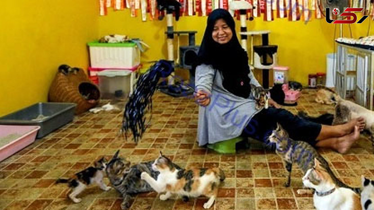 زندگی یک زن و شوهر مسلمان با ۲۵۰ گربه !+عکس