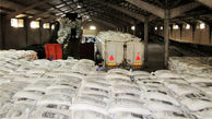 واردات برنج در فصل برداشت با رانت صورت می‌گیرد