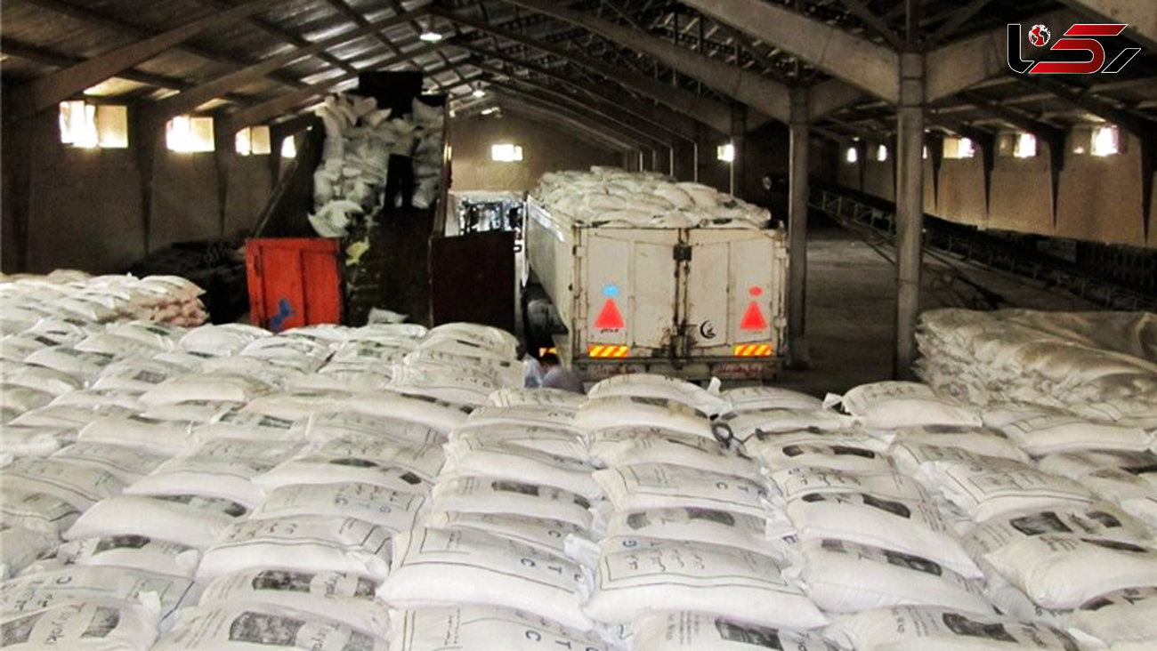 واردات برنج در فصل برداشت با رانت صورت می‌گیرد