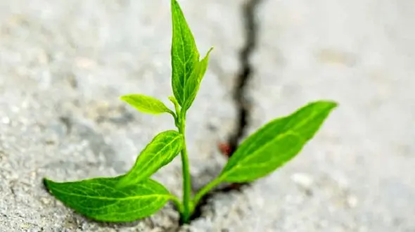 راهکار‌های عملی برای اقدام در شرایط نامطمئن