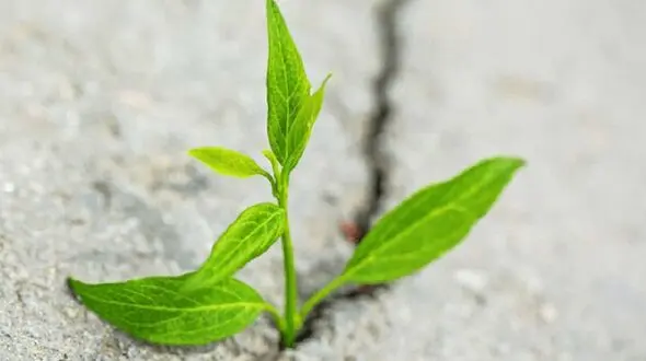 راهکار‌های عملی برای اقدام در شرایط نامطمئن