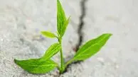 راهکار‌های عملی برای اقدام در شرایط نامطمئن