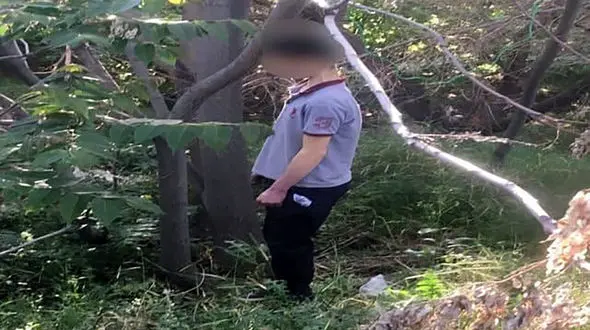 دار زدن پسری در باغ شهریار ! /خودکشی یا قتل؟! + دستور دیوان
