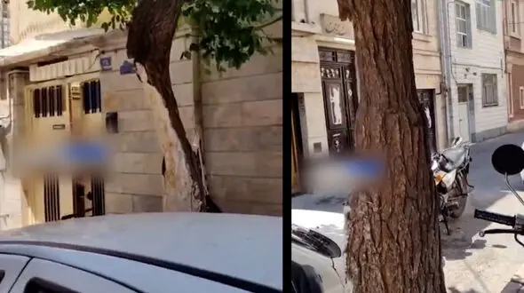 درخت پوسیده در منطقه 17 تهران و نگرانی شهروندان / سازمان بوستان ها سریعتر این درخت را تعیین تکلیف کند + فیلم