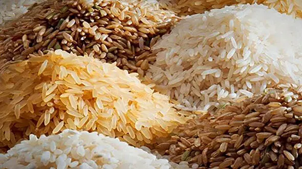 نفت بده برنج بگیر ! / بحث داغ تهاتر برنج پاکستانی با نفت ایران در فضای مجازی