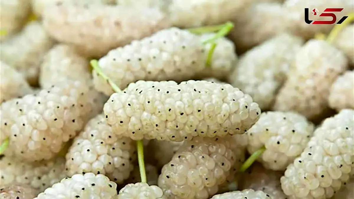 سلامت روده تان را با این میوه بهاری تضمین کنید!