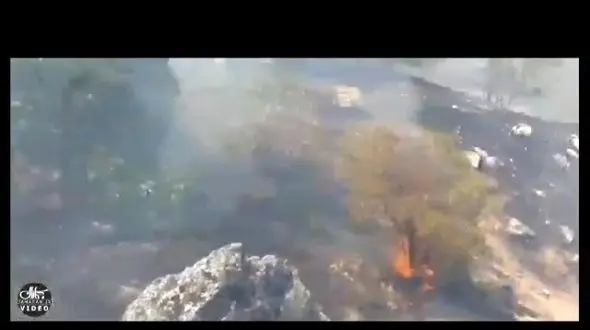 فیلم تلخ / کوهدشت همچنان در آتش