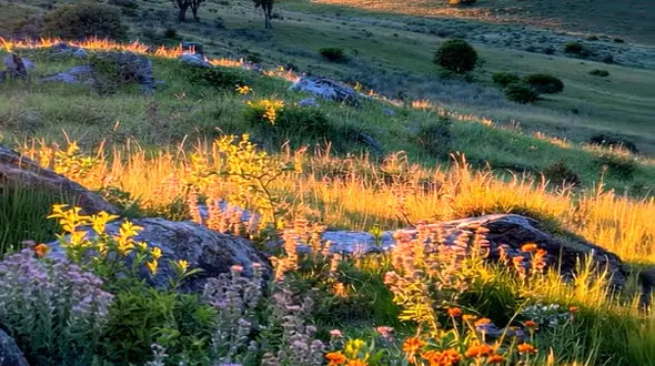 جهان، منتظر نگه توست
